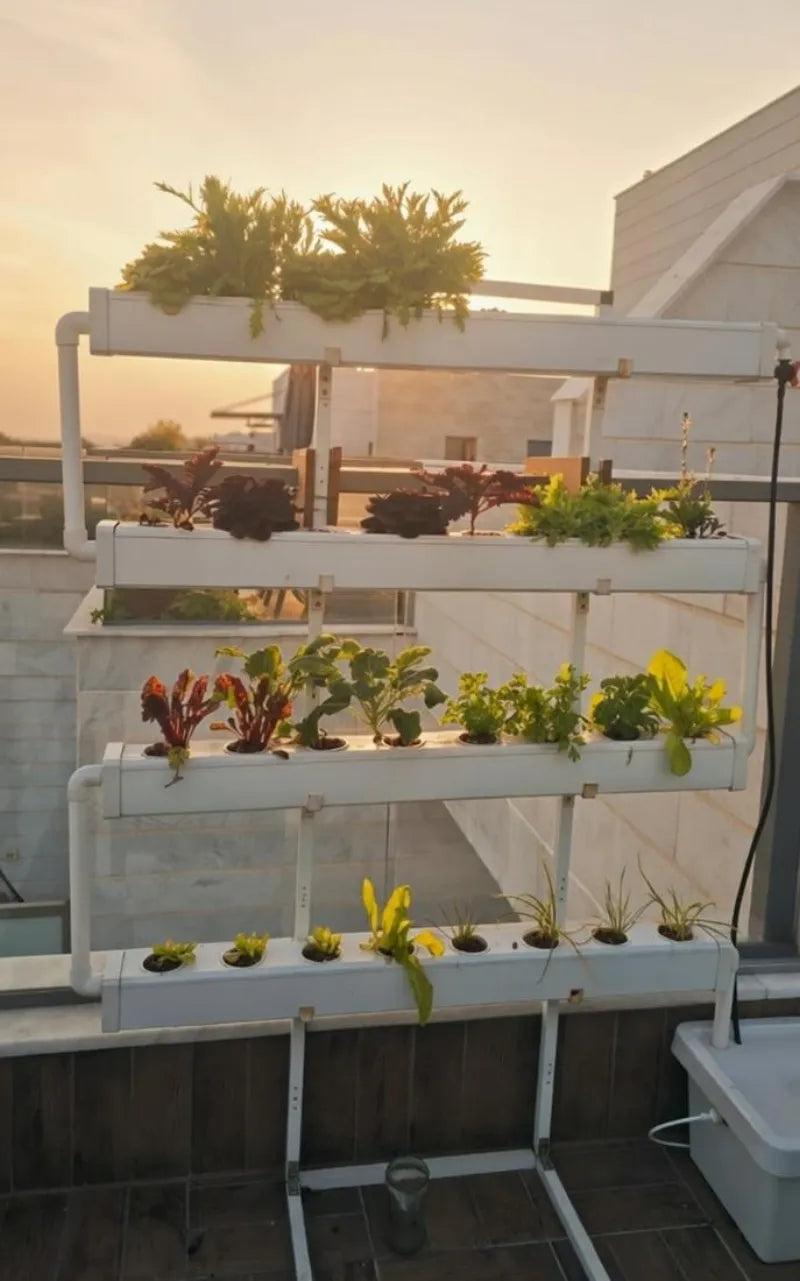 A NatureTech customer's plants growing at home