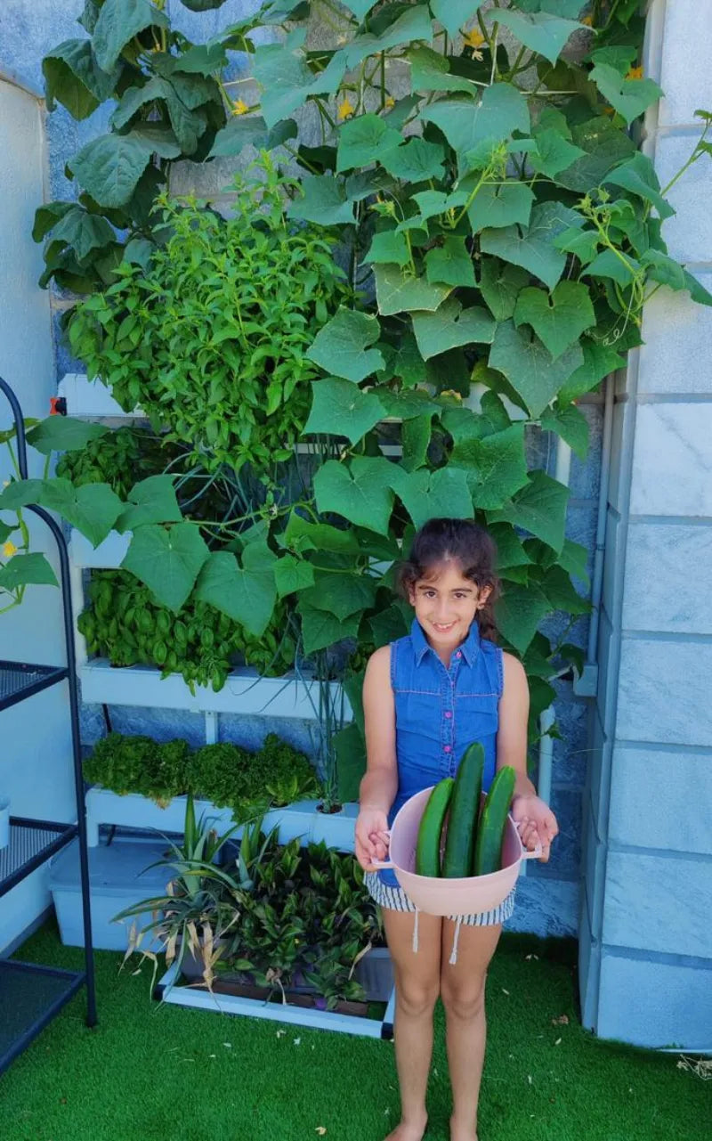 A NatureTech customer's plants growing at home