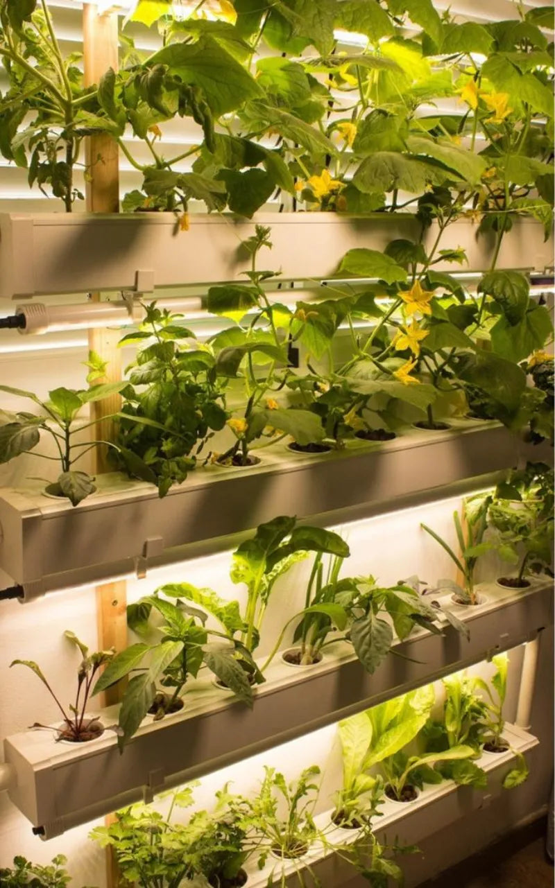A NatureTech customer's plants growing at home