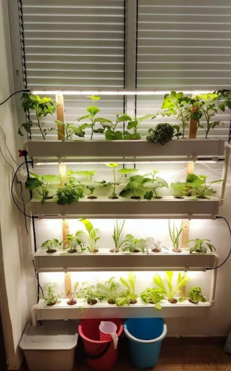 A NatureTech customer's plants growing at home