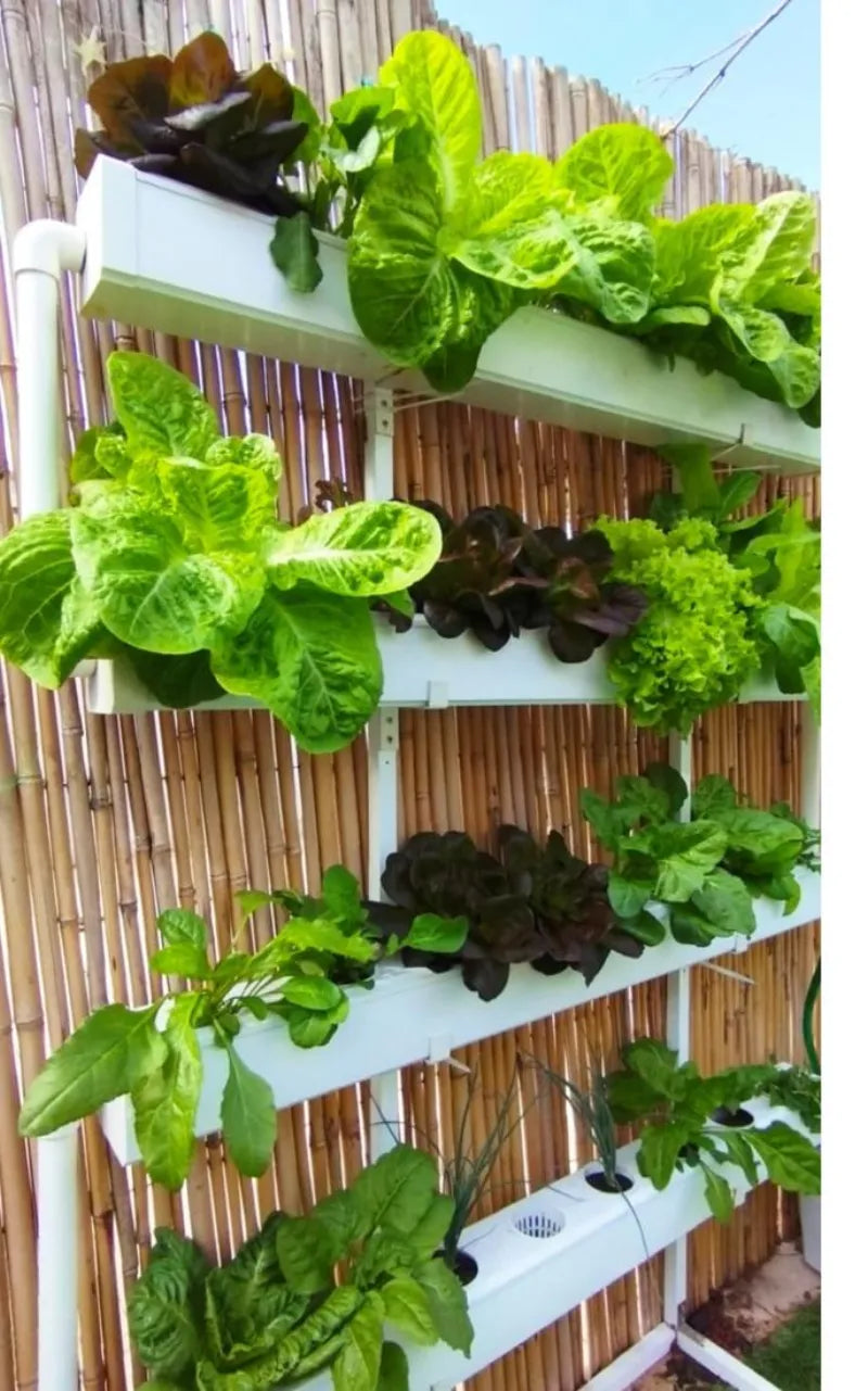 A NatureTech customer's plants growing at home