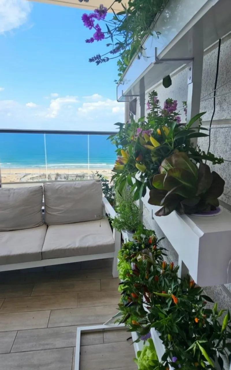A NatureTech customer's plants growing at home