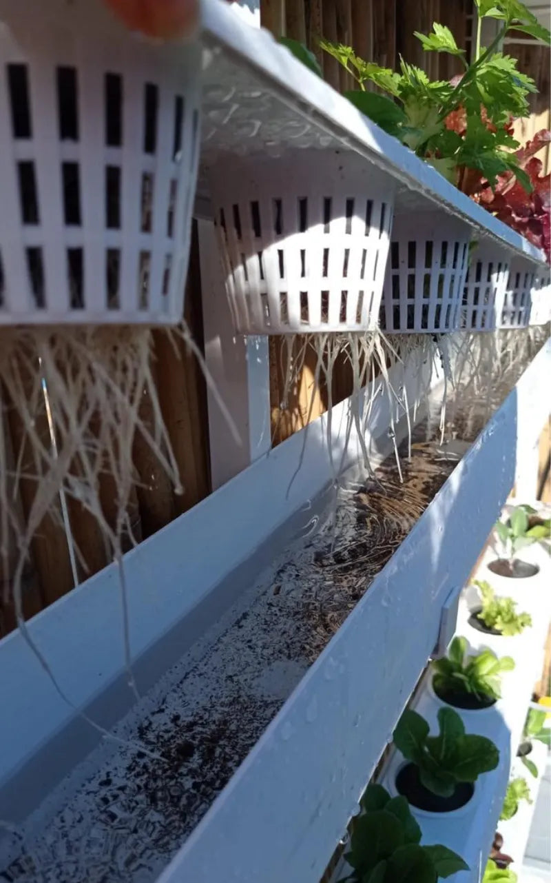 A NatureTech customer's plants growing at home