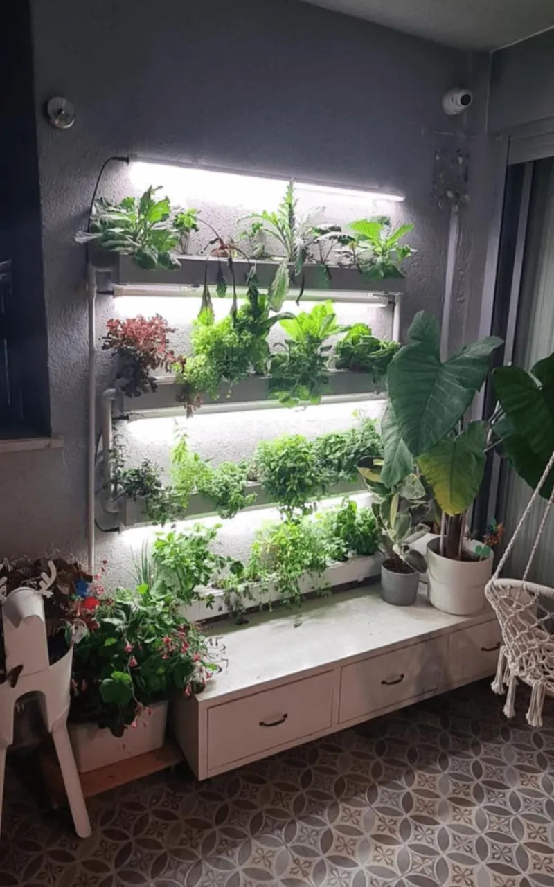 A NatureTech customer's plants growing at home