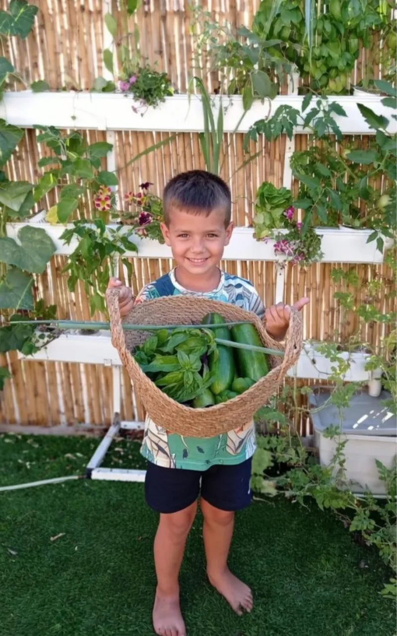 A NatureTech customer's plants growing at home