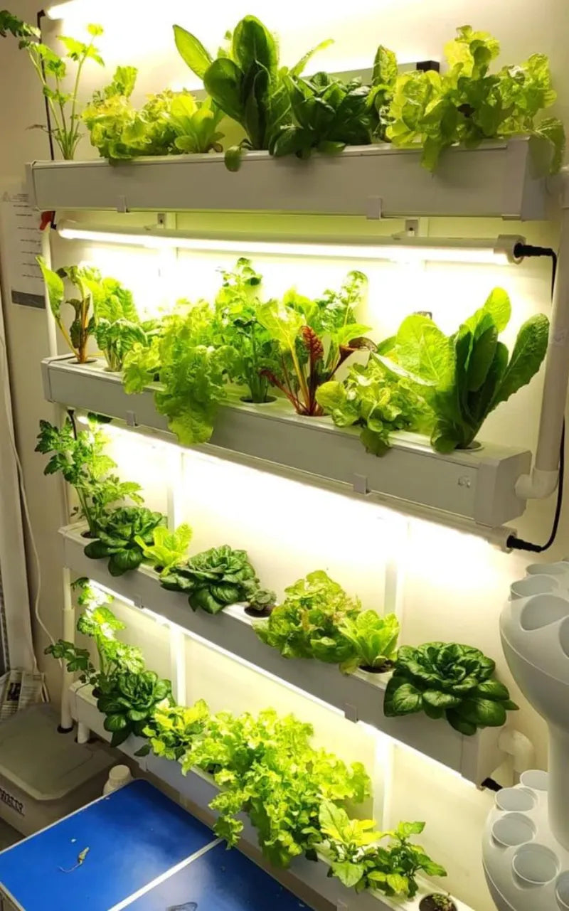 A NatureTech customer's plants growing at home