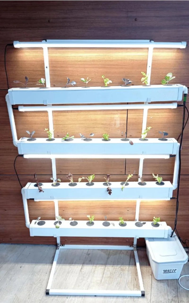 A NatureTech customer's plants growing at home