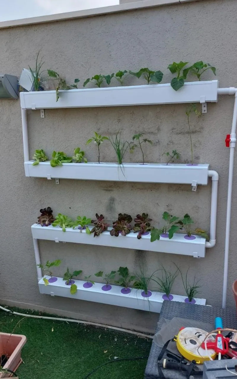 A NatureTech customer's plants growing at home
