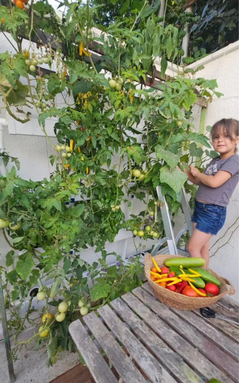 A NatureTech customer's plants growing at home