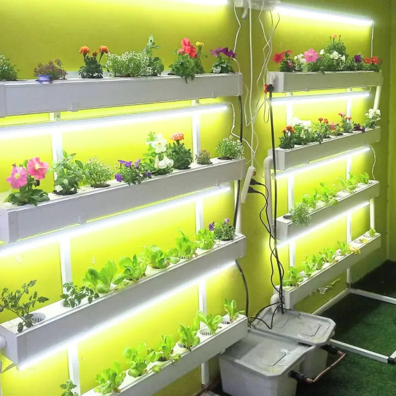 A NatureTech customer's plants growing at home