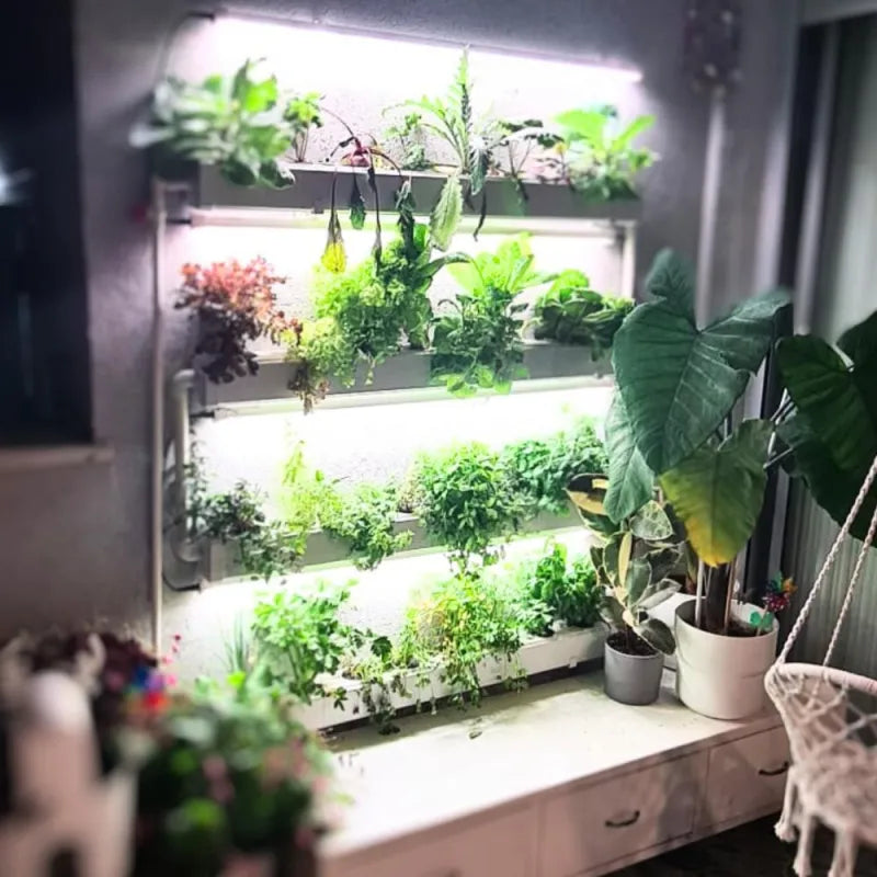 A NatureTech customer's plants growing at home