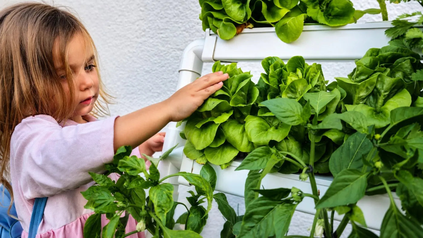 Customer growing with a NatureTech system at home