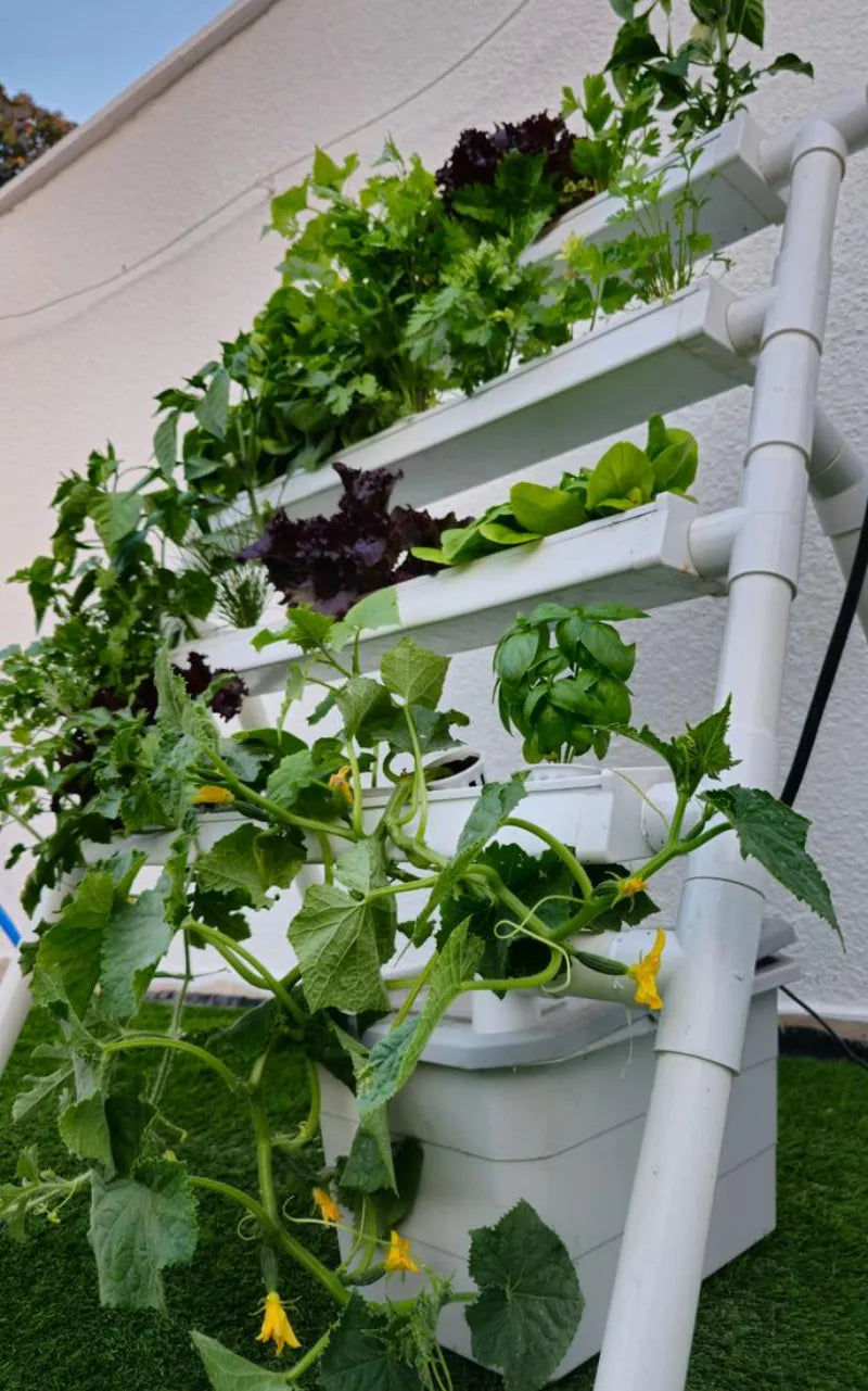 A NatureTech customer's plants growing at home