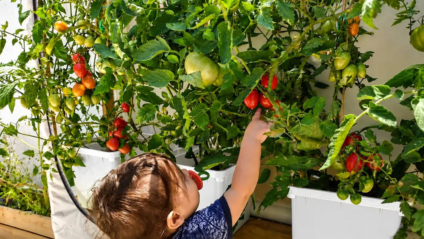 Customer growing with a NatureTech system at home