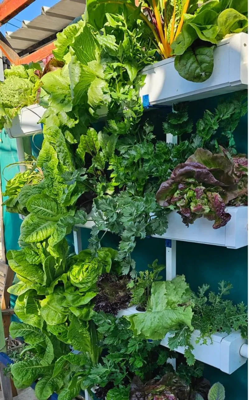 A NatureTech customer's plants growing at home